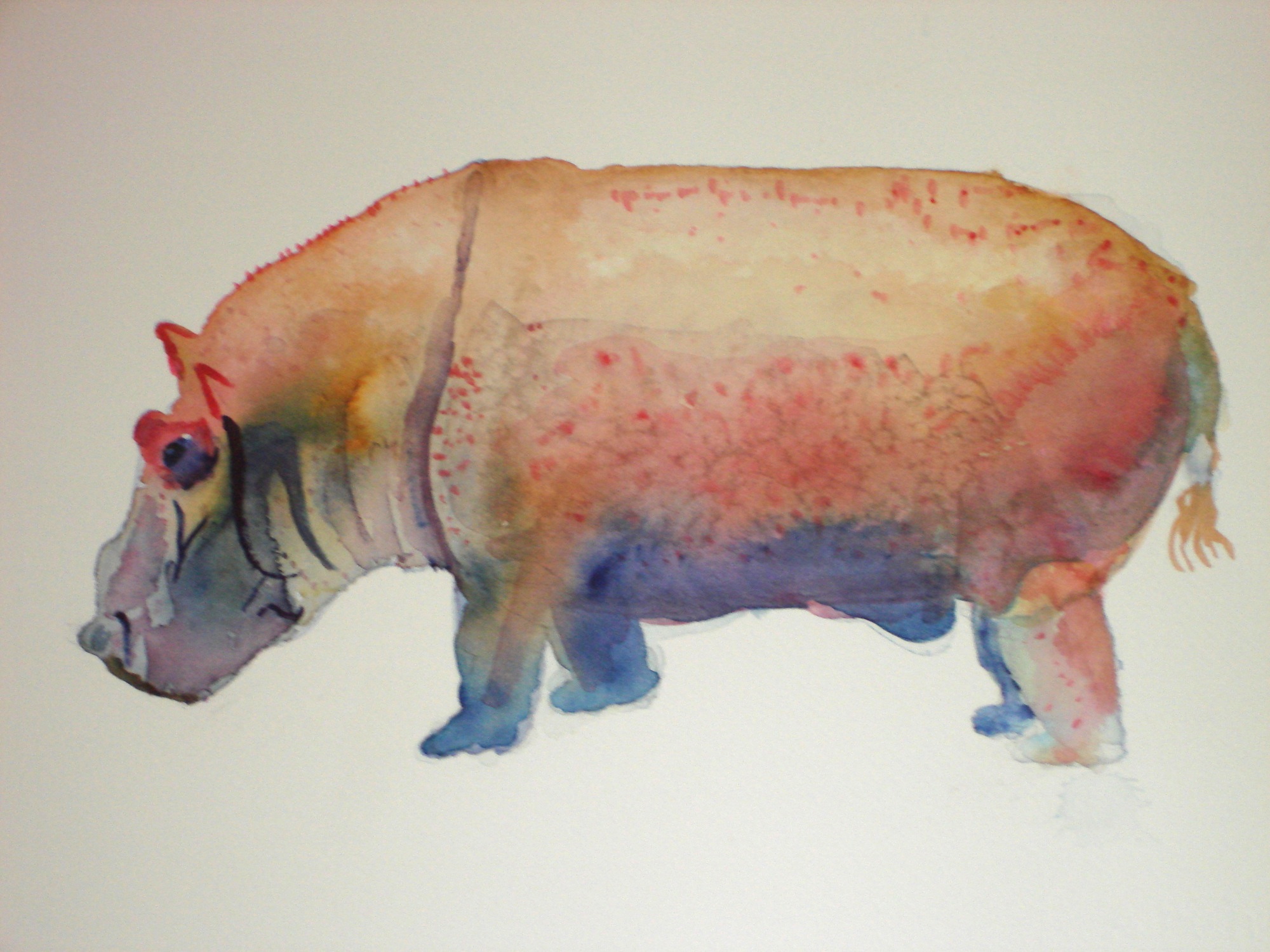 2000x1500 Hippopotamus Laura Massie Art