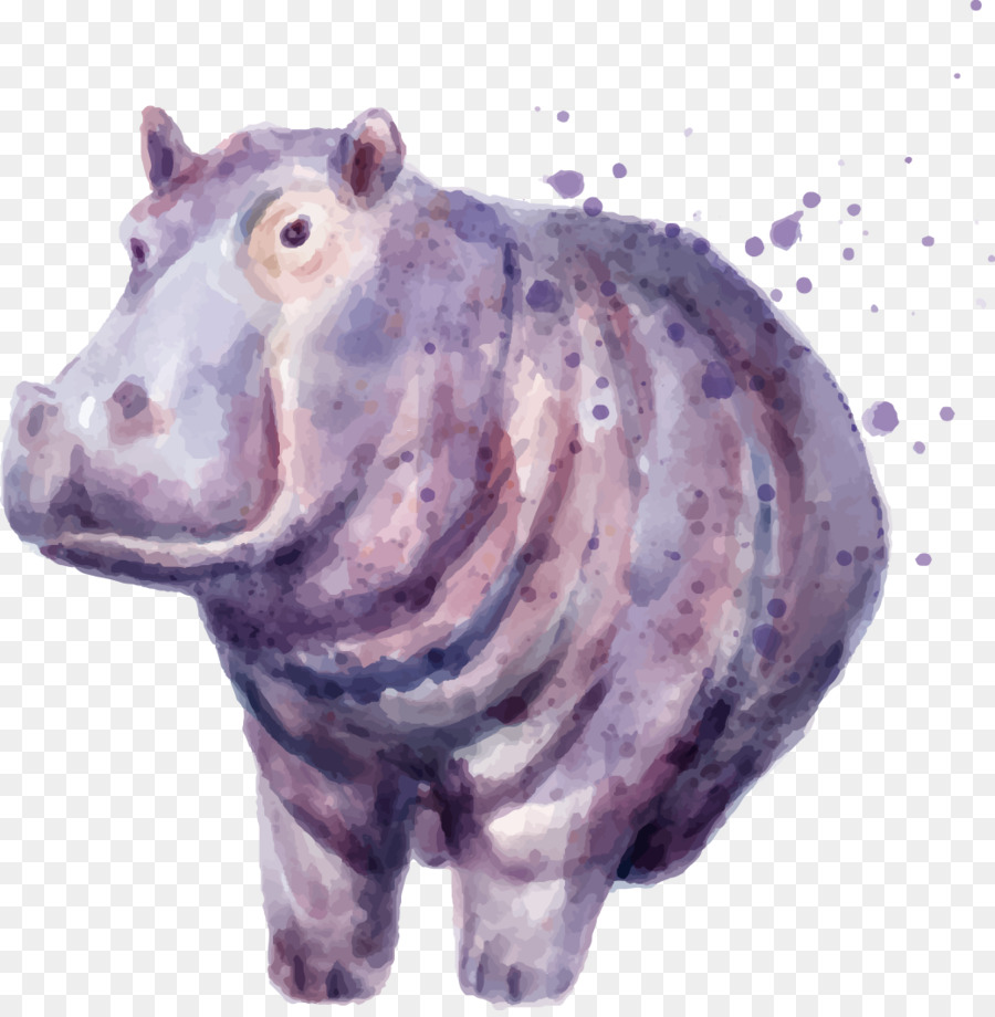 900x920 Hippopotamus Drawing Painting