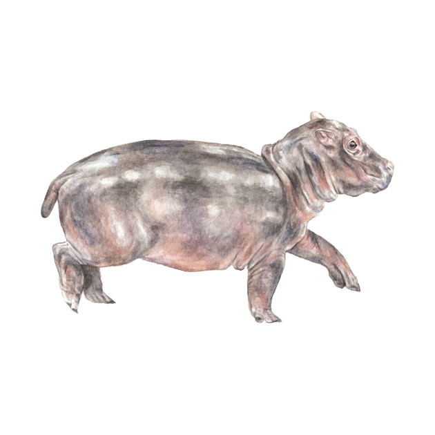 630x630 Watercolor Baby Tiptoeing Hippo
