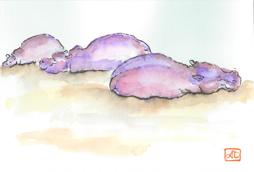 498x337 Wildlife Watercolor Hippo Family
