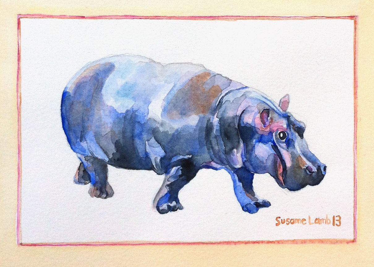 1209x865 Watercolor Hippo Susanne Watercolor, Inspiring Art
