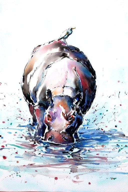 511x768 Watercolor Hippopotamus Animal Photos And Art Images