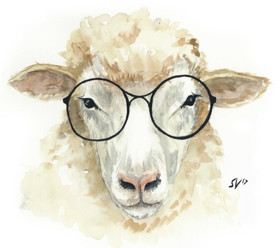 570x506 Watercolor Hipster Sheep Gallery Wrapped Canvas Etsy