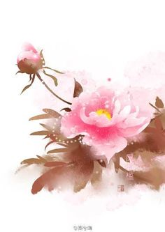 236x333 40 Best Hoa Images Flowers, Watercolor Painting And