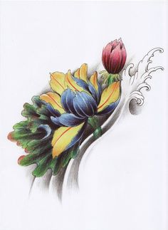 236x323 412 Best Hoa Images Watercolor Paintings