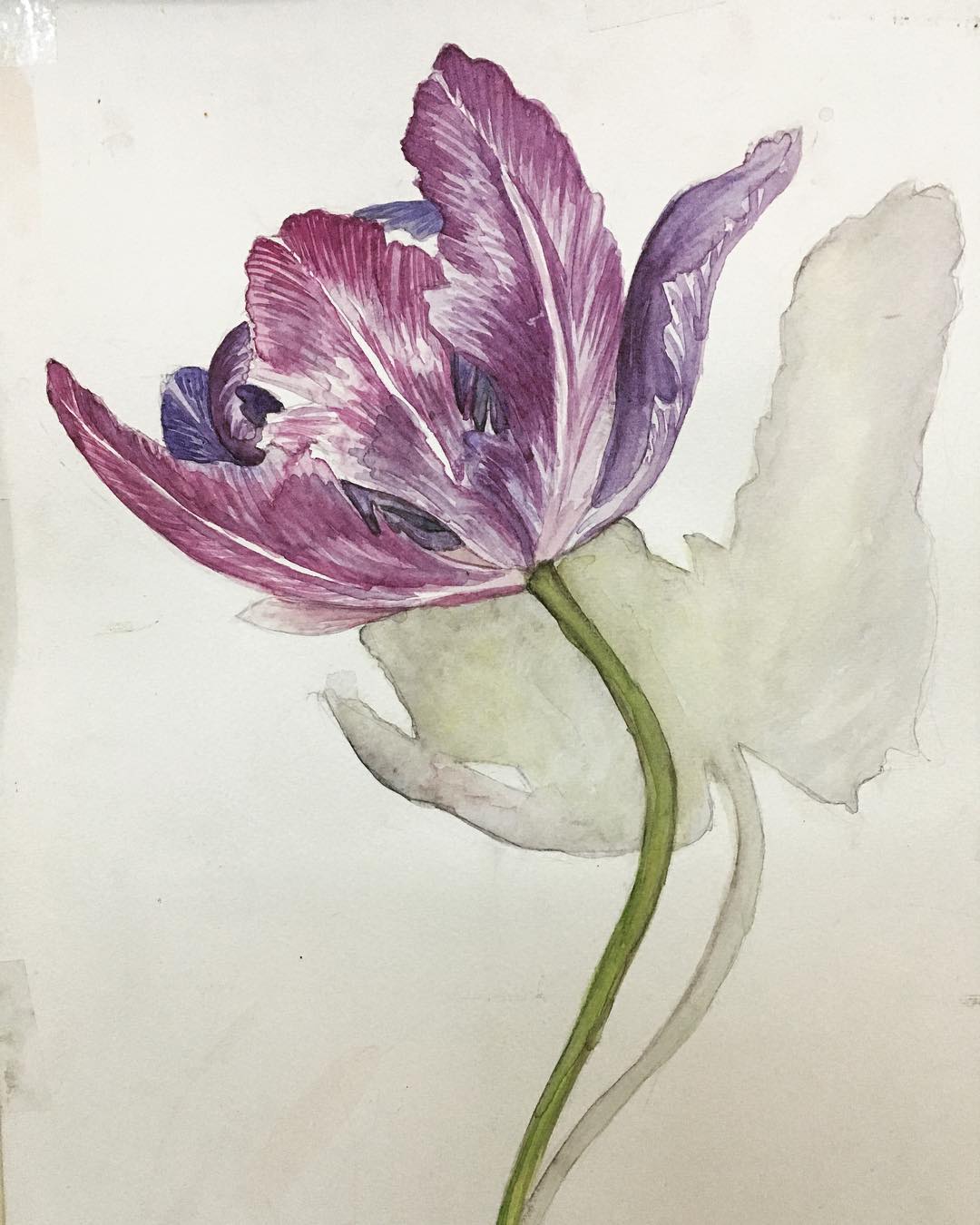 1080x1350 Gansaitambiwatercolor