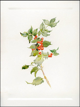 313x420 Watercolor Holly