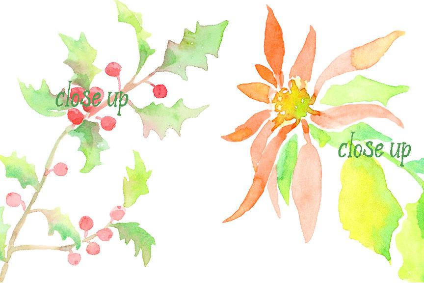 864x576 Watercolor Christmas Holly, Poinsettia And Mistletoe Instant