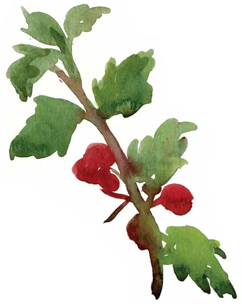 478x600 How To Paint A Watercolor Floral Still Life Step By Step Artist