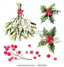 220x229 Afbeeldingsresultaat Voor Watercolor Holly Leaves Kerst