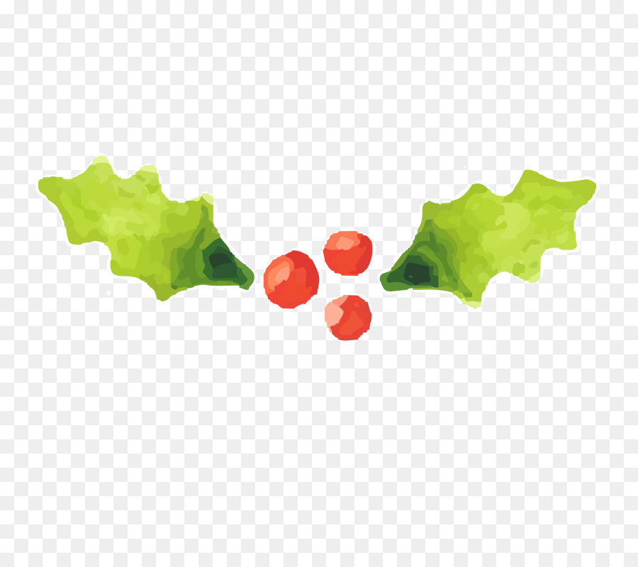 900x800 Watercolor Painting Drawing Plant Christmas