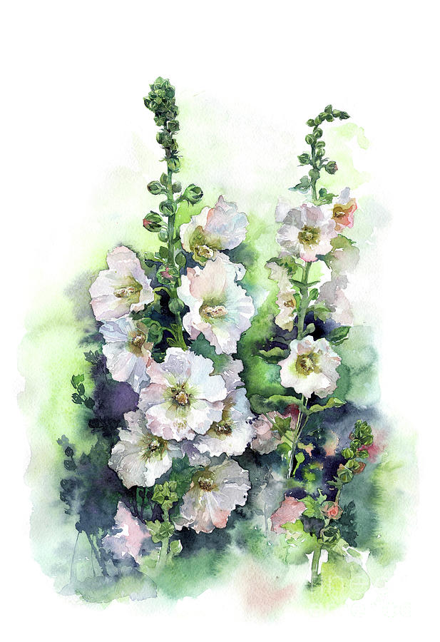 617x900 Watercolor Hollyhocks Pink Flowers Art Hand Draw. Painting By Mary