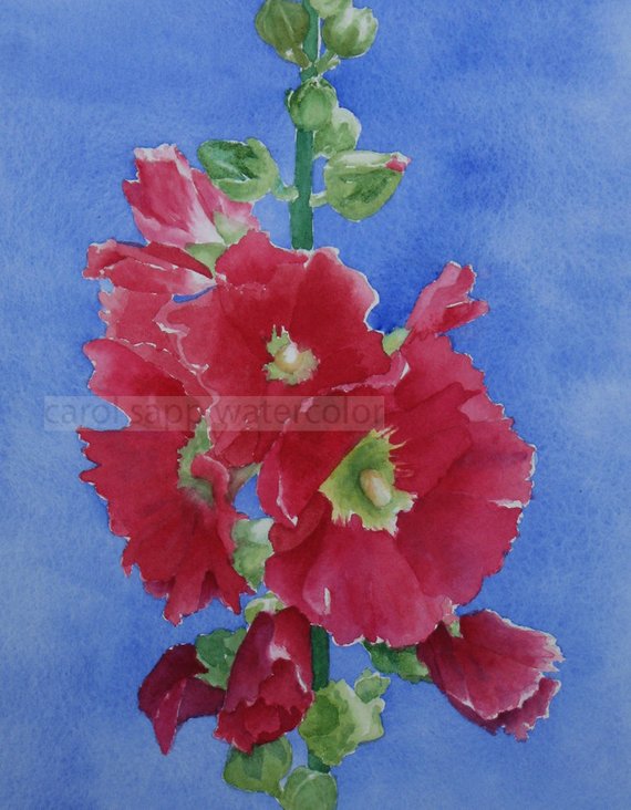 570x732 Hollyhocks Watercolor Hollyhocks Painting Flower Etsy
