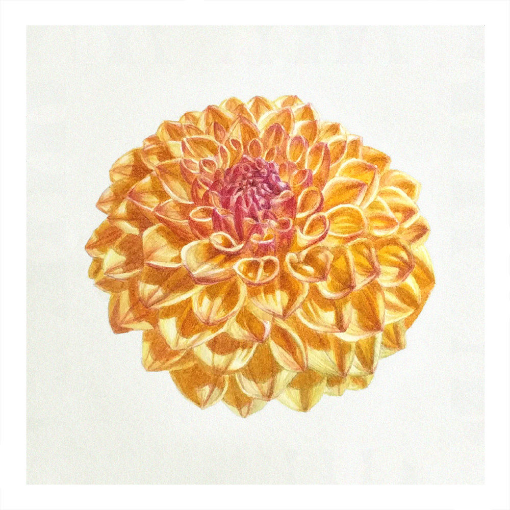 1000x1000 The Smalls Denise Ramsay