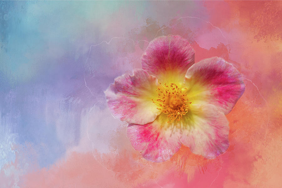 900x601 Watercolors Home Run Digital Art By Terry Davis