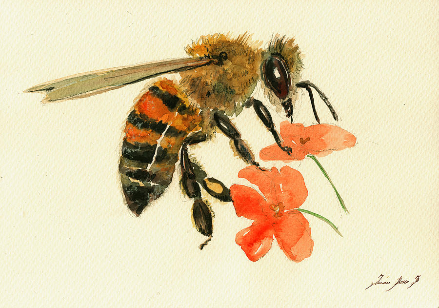 900x631 Honey Bee Watercolor Painting Painting By Juan Bosco