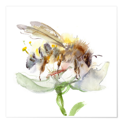 500x500 Verbrugge Watercolor Honey Bee Poster Posterlounge