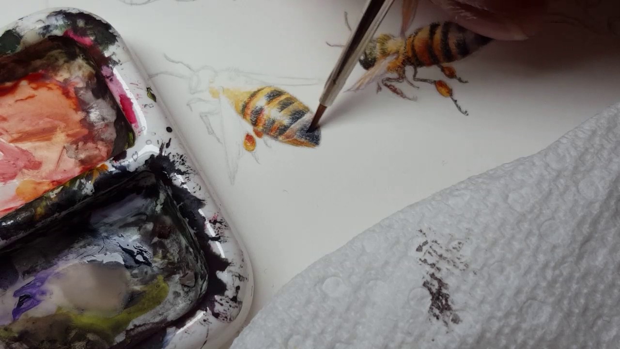 1280x720 Watercolor Painting A Honeybee (Full 18 Minute Version)