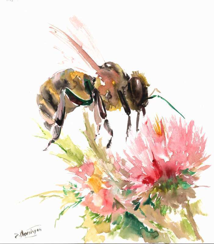 702x800 Bee Painting New Honey Bee And Flower Original Watercolor Painting
