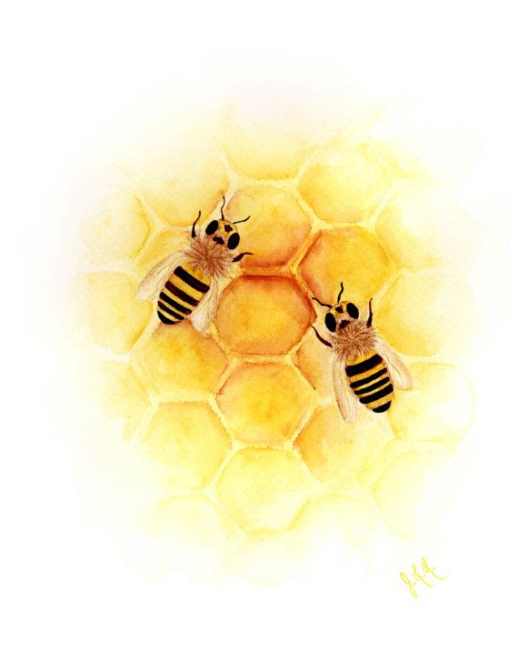 570x738 Bee Watercolor Painting Print Giclee Fine Art Archival Honey Bees