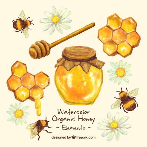 626x626 Hand Painted Honey Jar With Honeycomb Vector Free Download