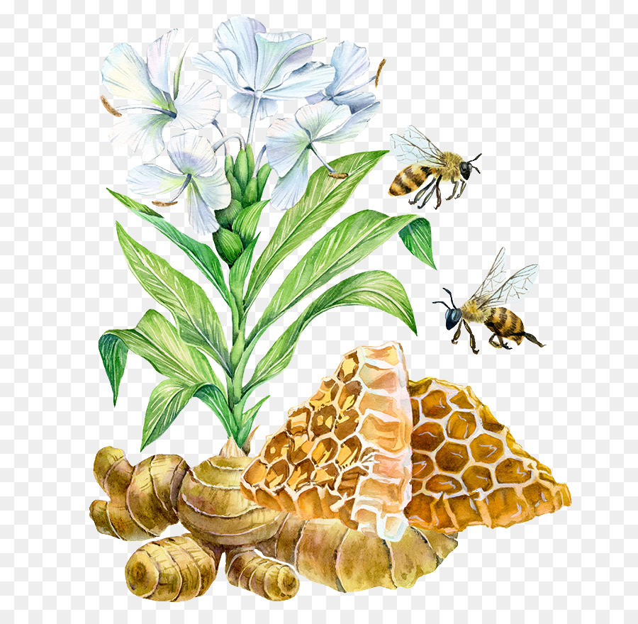 900x880 Bee Watercolor Painting Ginger Illustration