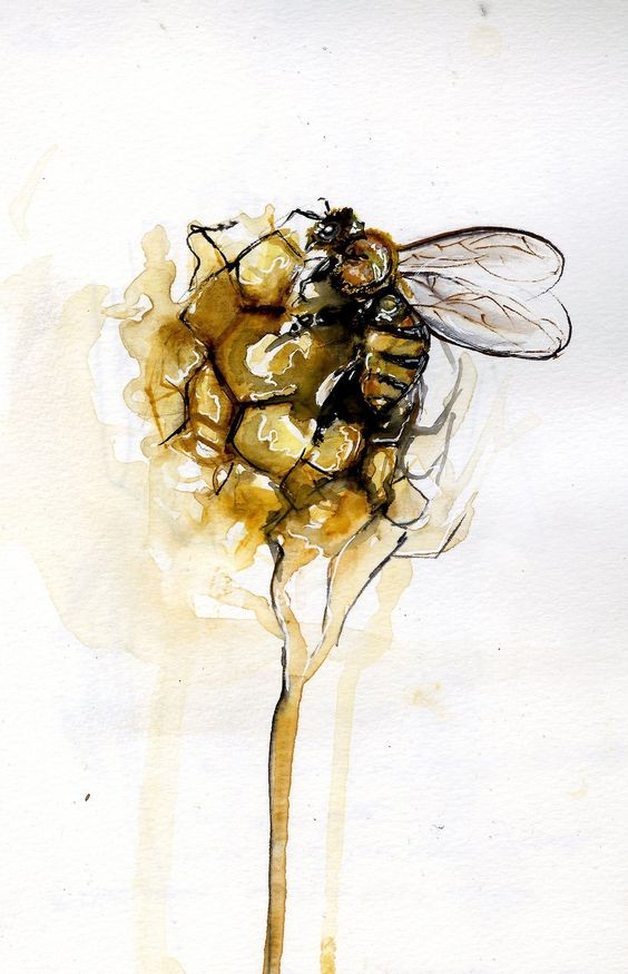 564x875 Small Bee Crawling In Watercolor Honeycomb Ball Tattoo Design