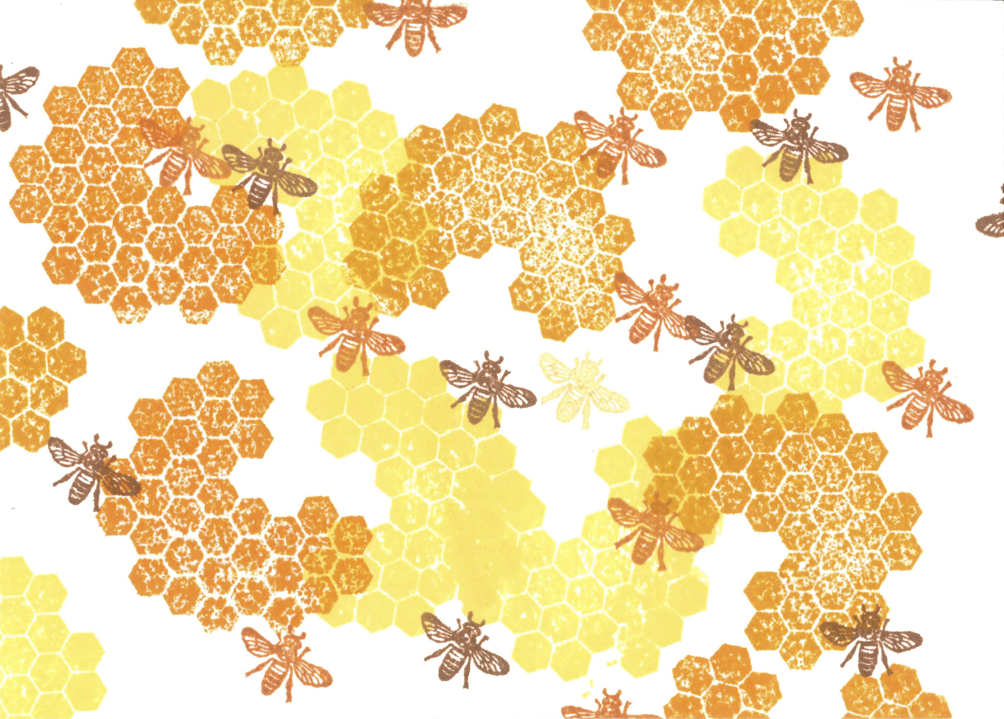 4193x3004 Honeycomb Curation