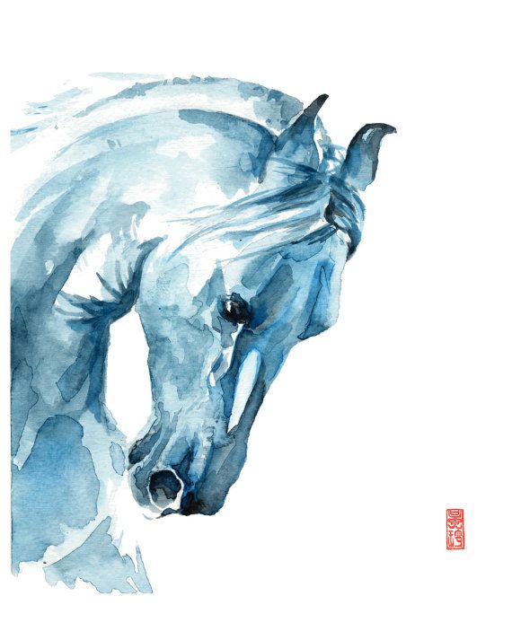 570x713 White Horse Watercolor Fine Art Giclee Print Animal Painting