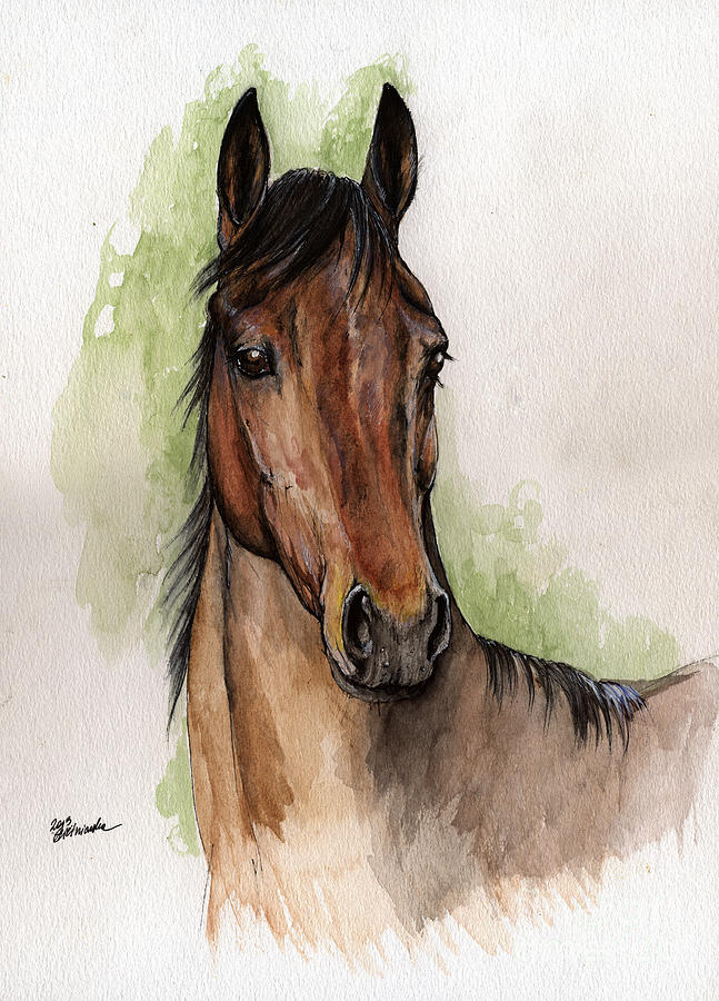 647x900 Bay Horse Portrait Watercolor Painting 02 2013 Painting By Angel