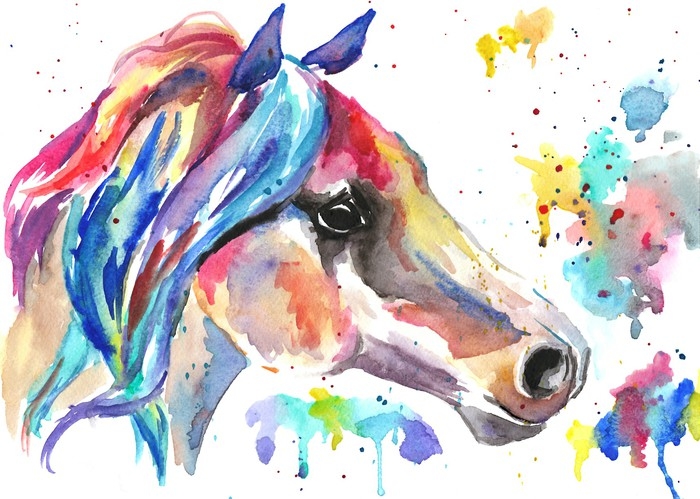 700x499 Horse Head. Color Watercolor Illustration. Hand Drawn Sticker