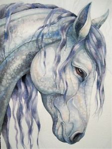 225x300 Painting Watercolour Horse 100% Cotton Canvas Quality Print Wall