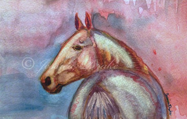 600x384 Twilight Akhal Teke Horse Head Watercolor