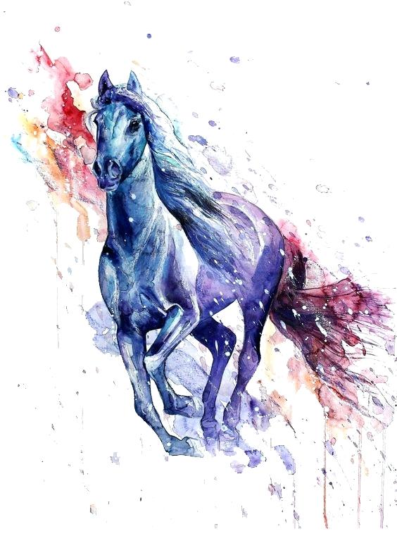 Watercolor Horse Head at GetDrawings | Free download