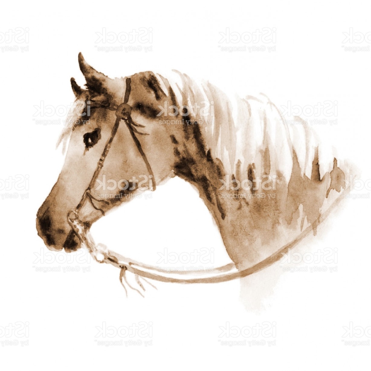 1228x1228 Watercolor Sepia Cowboy Western Horse Head With Bridle Gm Orangiausa