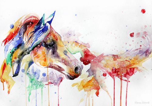500x348 Watercolor Horse Head Watercolor Watercolor Horse