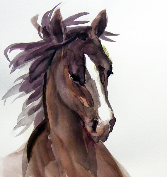 570x604 Arabian Chocolate Brown Horse Watercolor Painting, Limited Edition