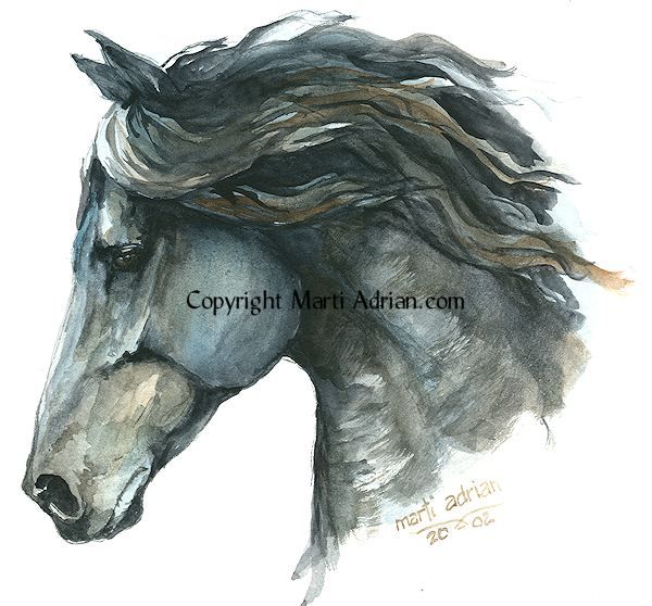 600x558 Watercolor Horse Artist Watercolour Horse Head Painting