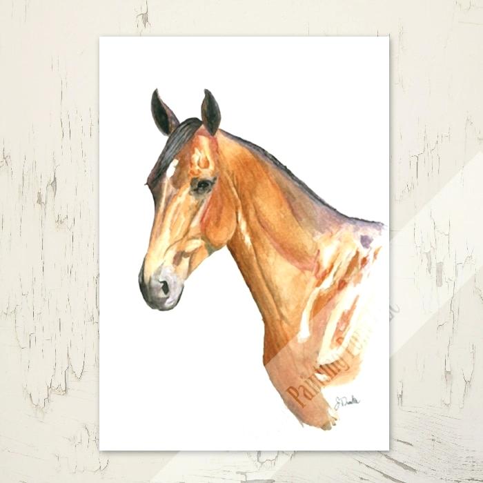 700x700 Water Color Horse Horse Head Equestrian Watercolor Note Cards