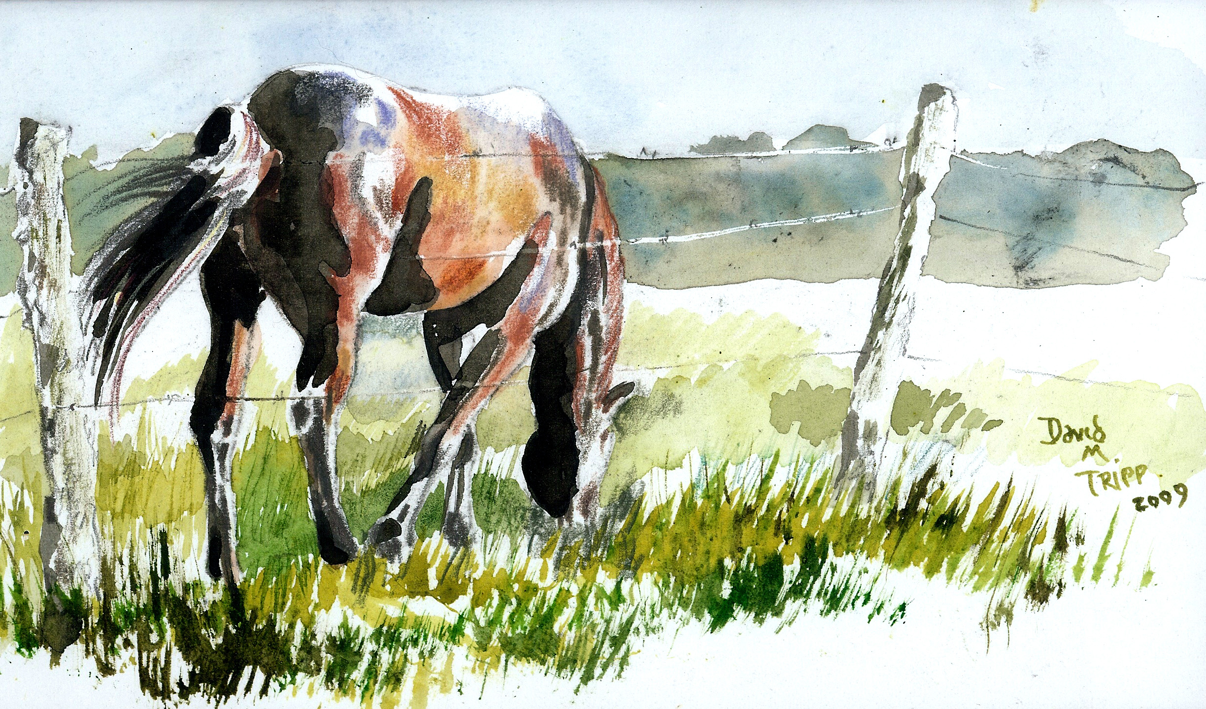 2448x1440 Watercolor Paintings Of Horses Idyllic Pastures, January 25, 2010