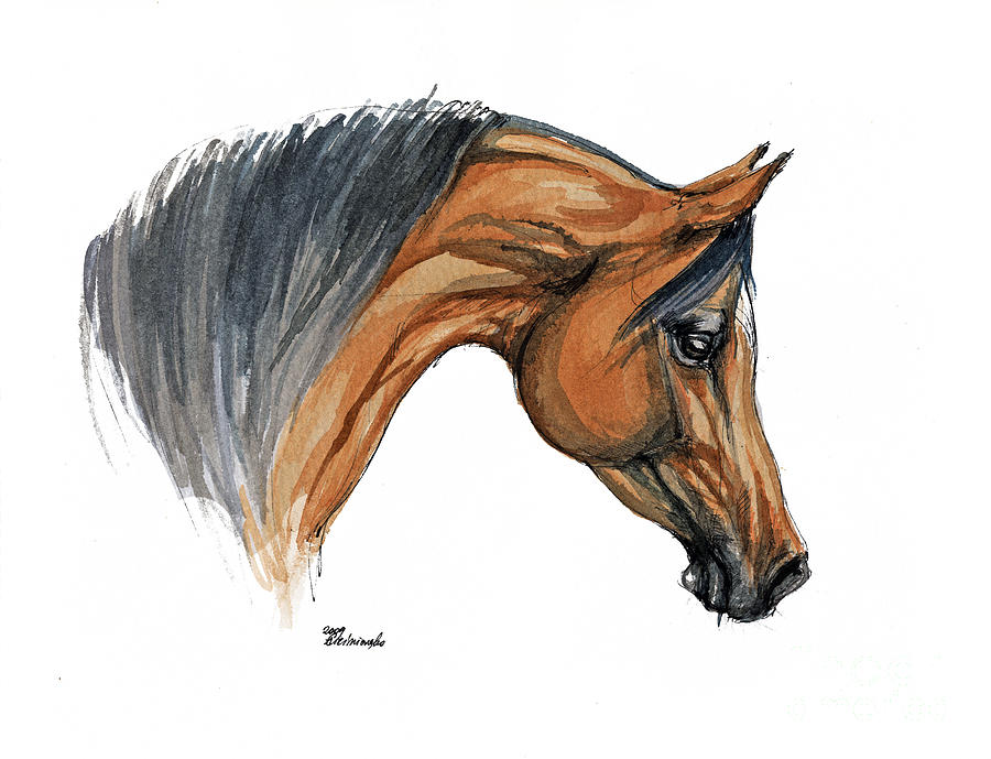 900x689 Bay Arabian Horse Watercolor Painting Painting By Angel Ciesniarska