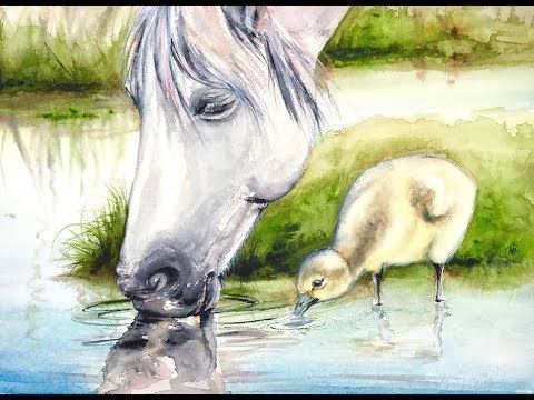 480x360 Watercolor White Horse Painting Demonstration