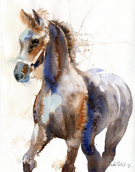 472x600 Friesian Horse Art Morgan Warmblood Yearling Print Of A Watercolor
