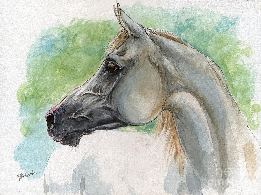 900x673 Grey Arabian Horse Watercolor Painting 27 02 2013 Painting By