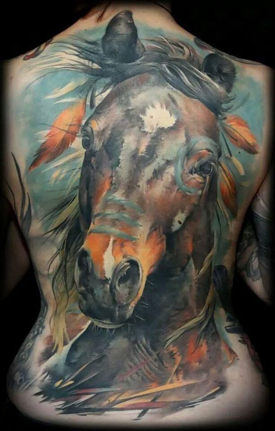 564x883 Watercolor Native American Horse