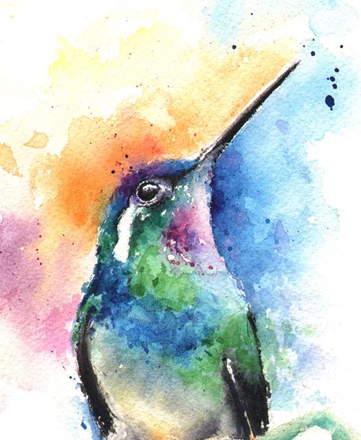 525x640 Purple Throated Mountain Gem Hummingbird Watercolor Print
