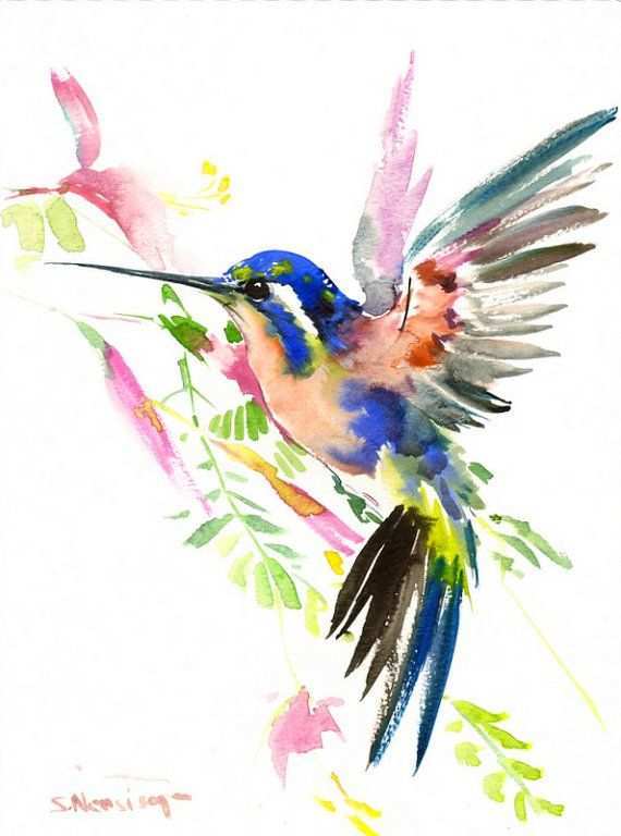 570x768 Hummingbird Painting New Bird Painting Hummingbird Original