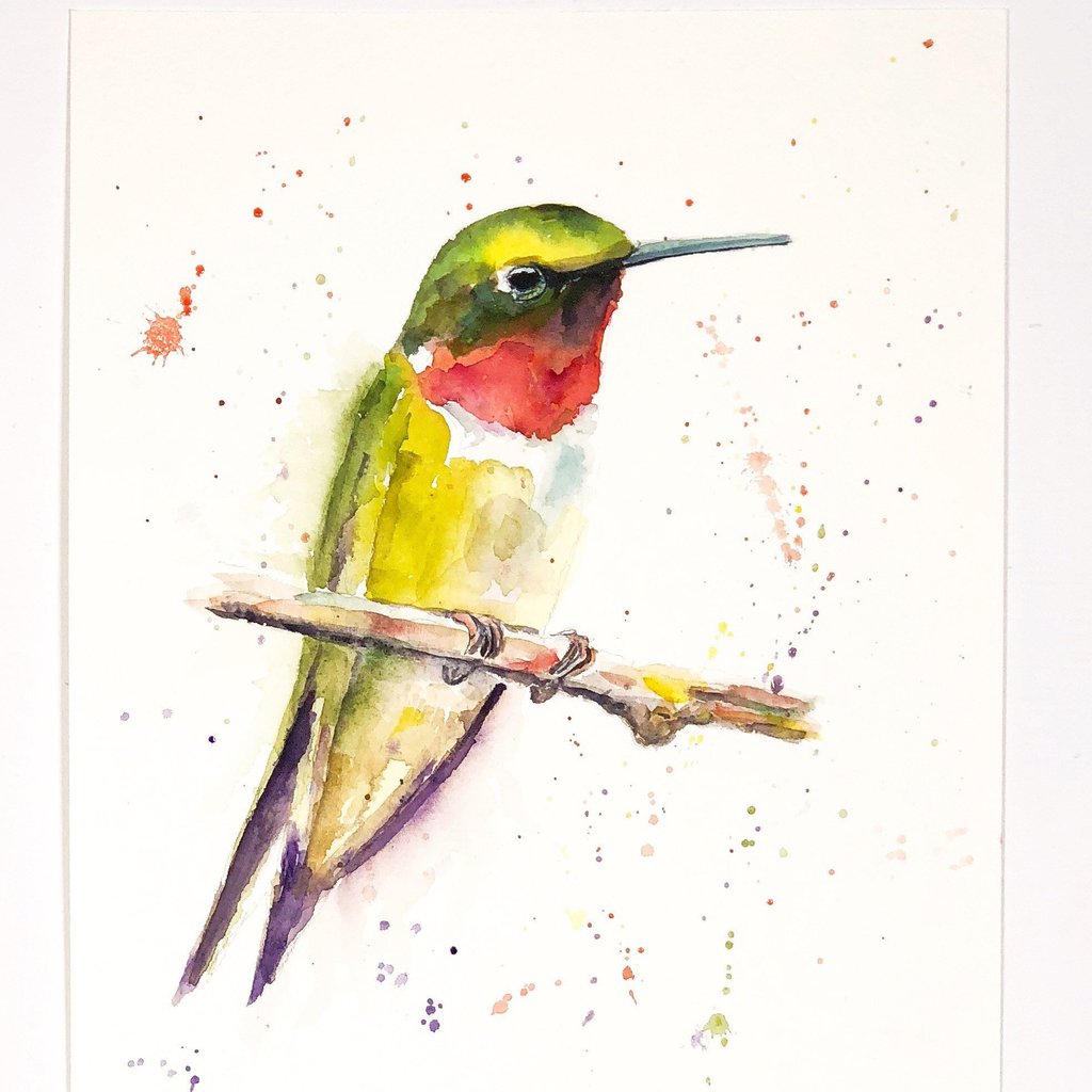 1024x1024 Watercolor Hummingbird , Watercolour, Bird Art, Artist Gift, Bird