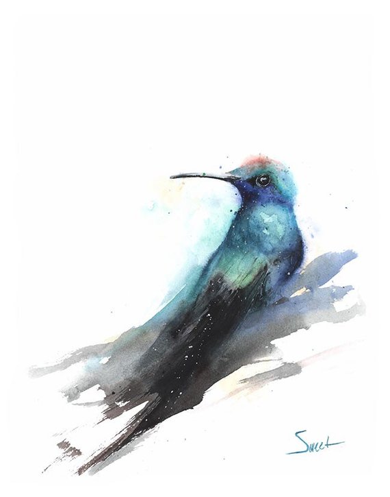 570x725 Hummingbird Print Watercolor Hummingbird Bird Painting Etsy