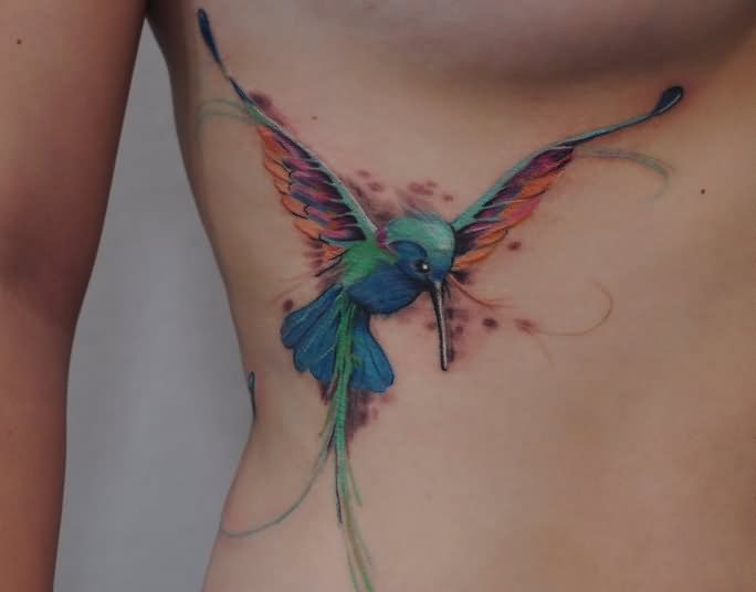 684x536 Nice Watercolor Hummingbird Tattoo On Rib Cage